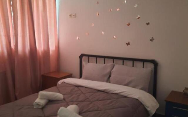 Evis Rooms