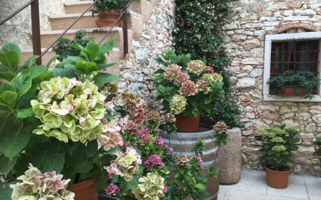 Agriturismo Ca Verde