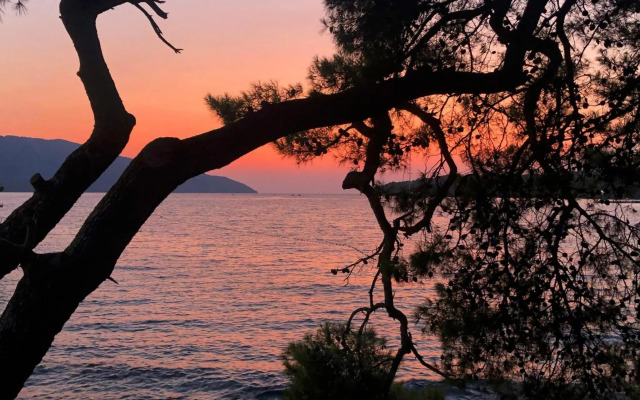 House Sidro, Stari Grad