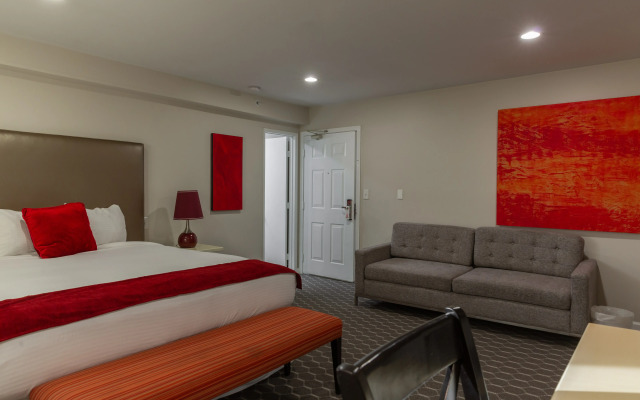 Shelter Hotel