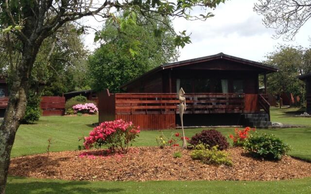 Bluebell Lodge 3 with Hot Tub