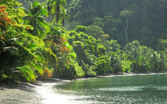 Playa Nicuesa Rainforest Lodge