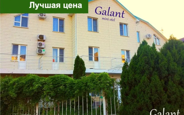 Polina Guest House