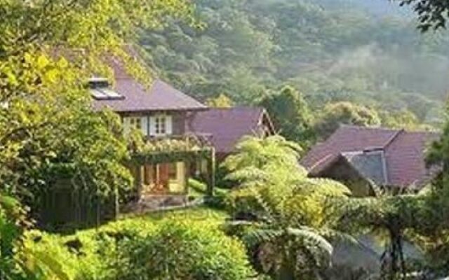 YYK 1Borneo Condominium