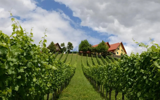 Weingut Fellner