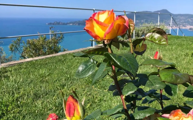 Rosso su Portofino