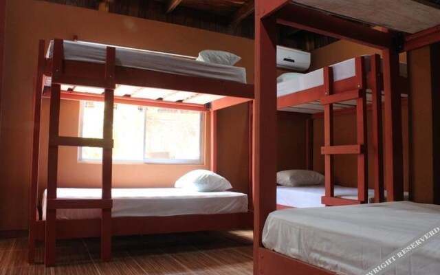 Coral Reef Surf Hostel