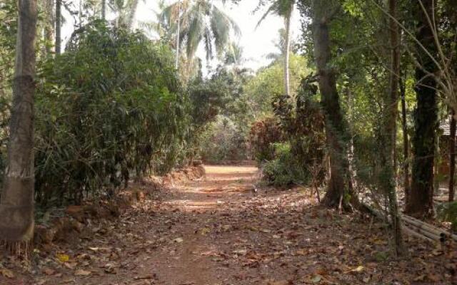 Dudhsagar Plantation