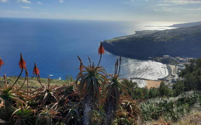 Sunny Beach Machico Apartment