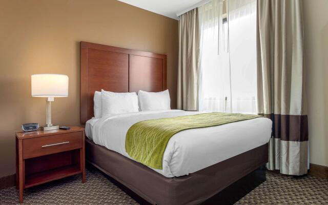 Comfort Inn & Suites near JFK Air Train