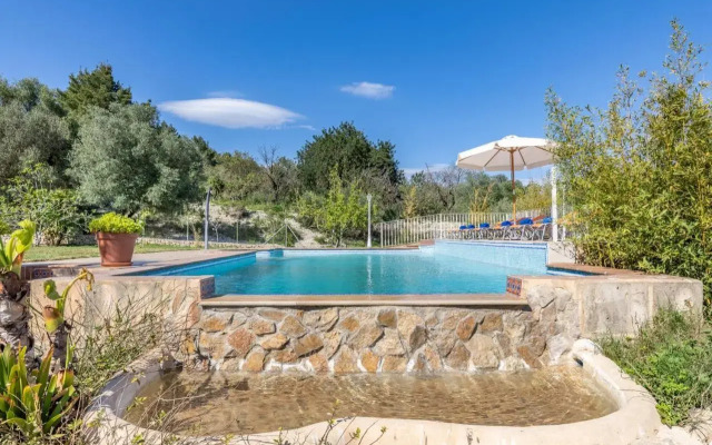 Selva-3834 Mallorca
