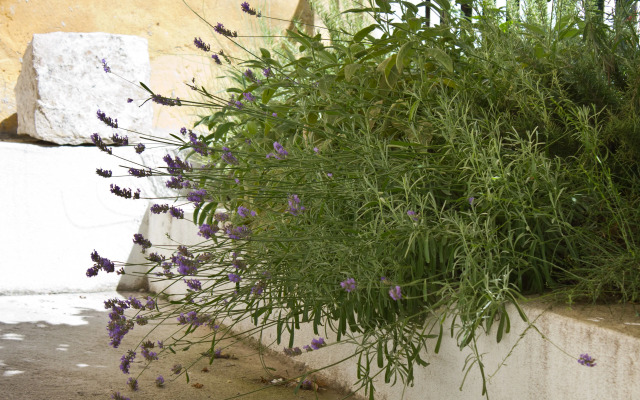 Eco B&B Old Town Beach