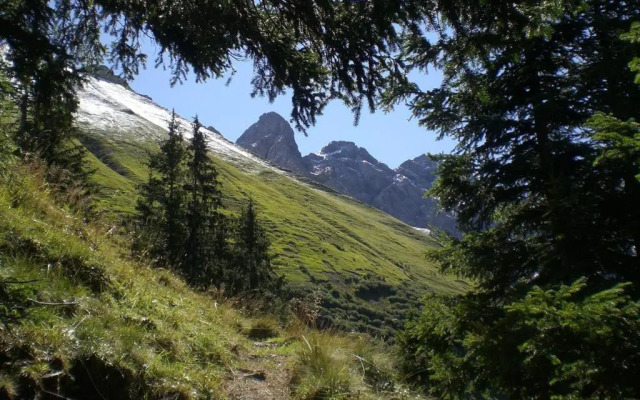 Ferienwohnung Landhaus Martin