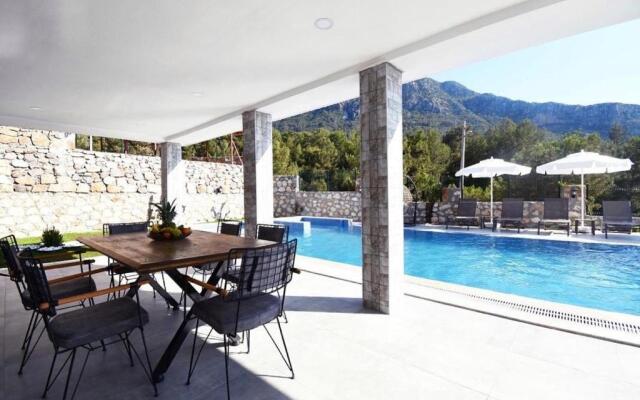 Desen Villa 2