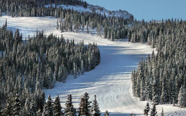 855car84 2 Bedroom Condo
