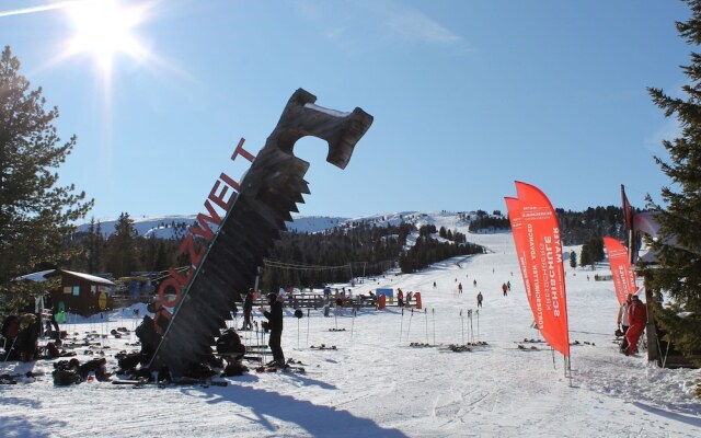 Lively Chalet Near Ski-slope