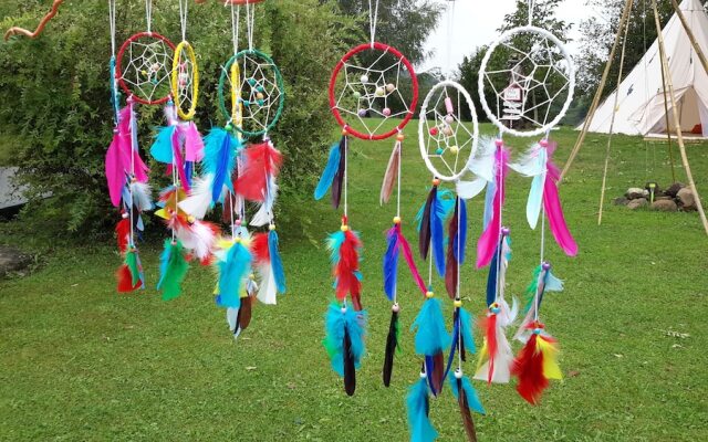 Les Hauts de Hurlevents - Le Buffalo