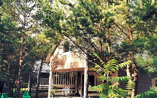 Domki Między Drzewami