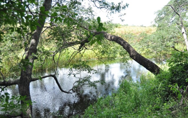 Askiesbos Okavango Delta