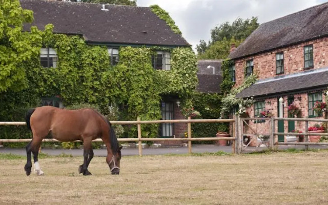 Oak Tree Farm