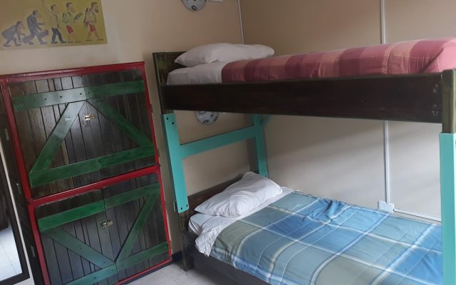 Flying Donkey Hostal - Hostel