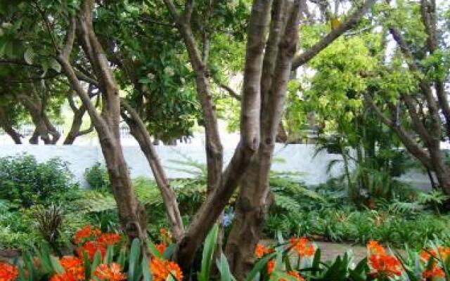 Eastcliff Cottage