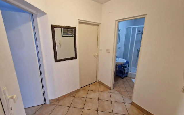 Apartment Puntižela