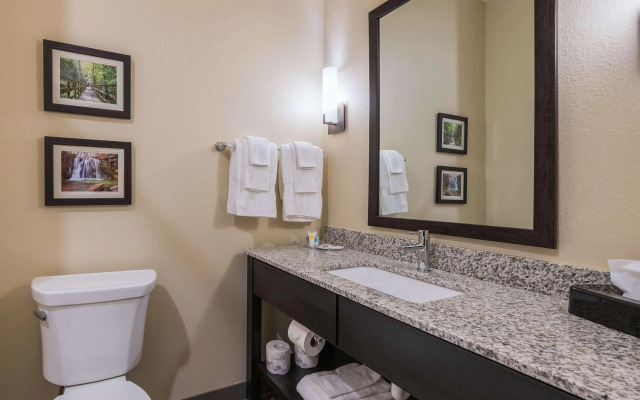Comfort Suites Marysville Columbus - Northwest