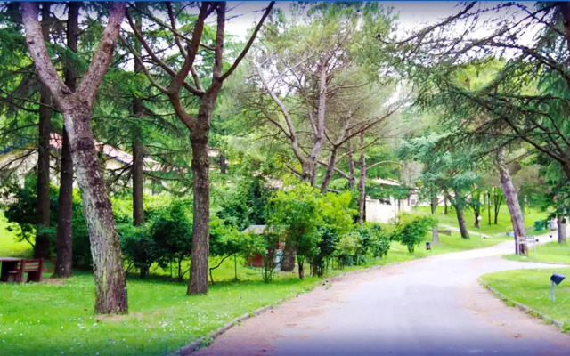 Park Hotel Spa & Resort