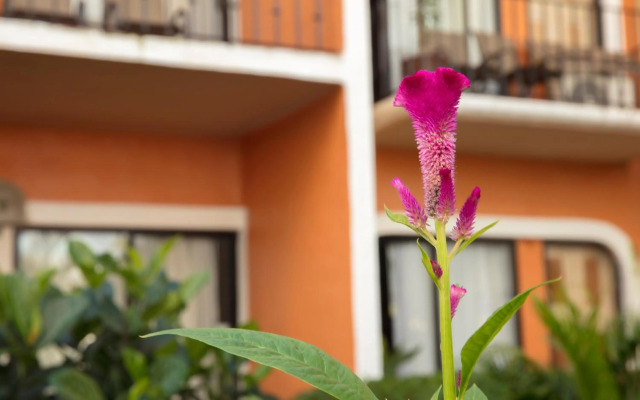 Flamingo Vallarta Hotel & Marina