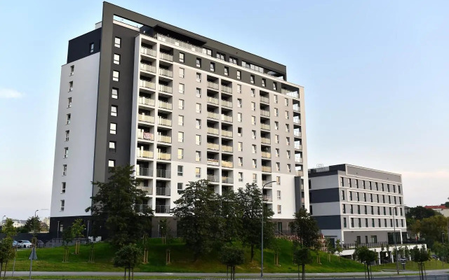 VIP Apartament number 8