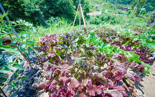 Yangpyeong Gio Pension