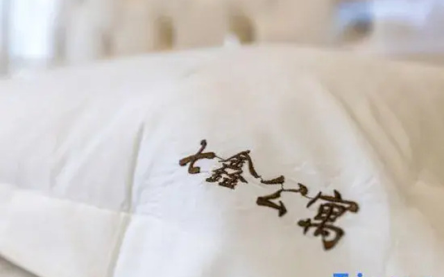 Wuhan Qixin Hotel Apartment (Xudong Wangjiadun Metro)