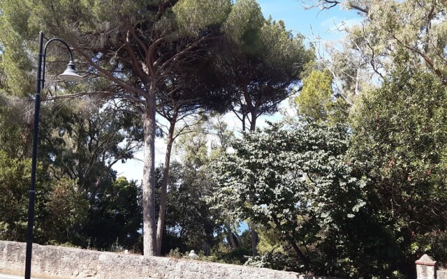 B&B Posidonia