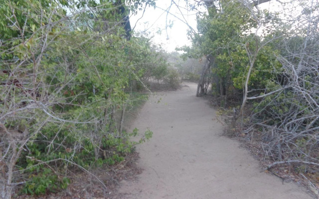 Yala Bear Safari Camp Tents