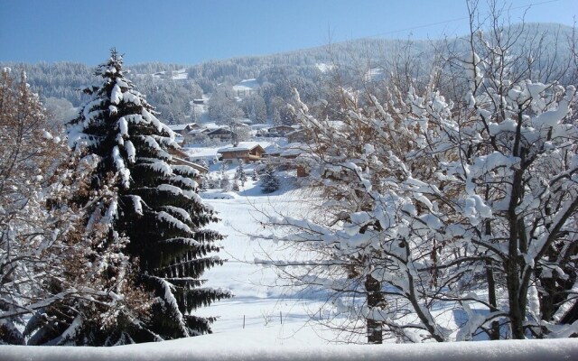 Chalet With 7 Bedrooms in Demi-quartier, With Wonderful Mountain View,