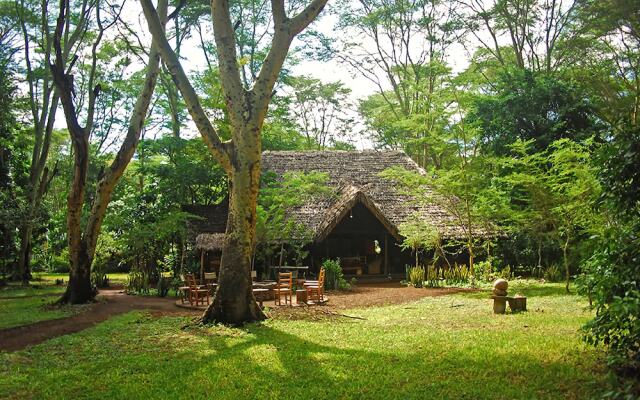 Migunga Forest Camp