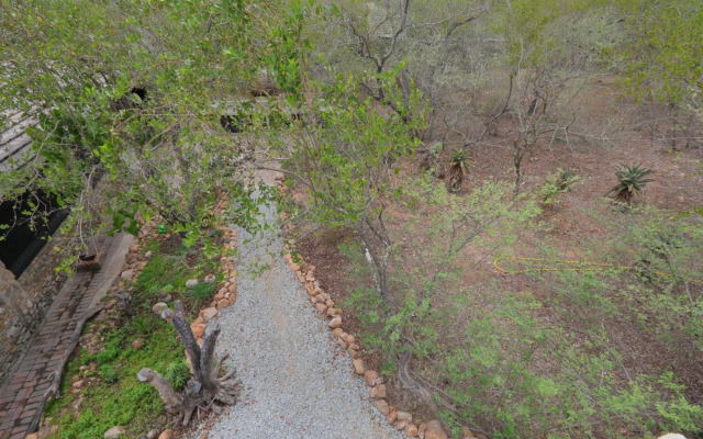 Oasis in the Wild @Marloth