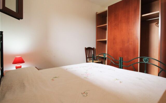 Pino Amazing Seaview