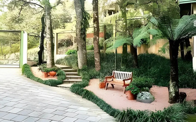 Siga Gramado - A pé - Conforto Completo