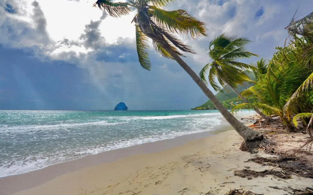 NOUVEAU studio chaleureux avec jacuzzi privé & piscine