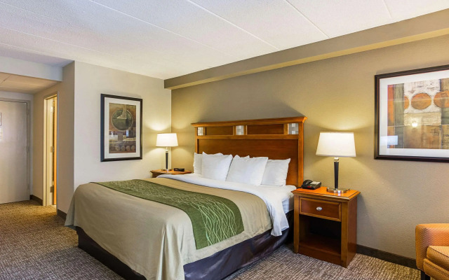 Comfort Inn Herndon - Reston