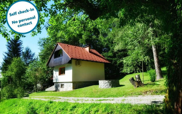 Sweet Stay Forest House