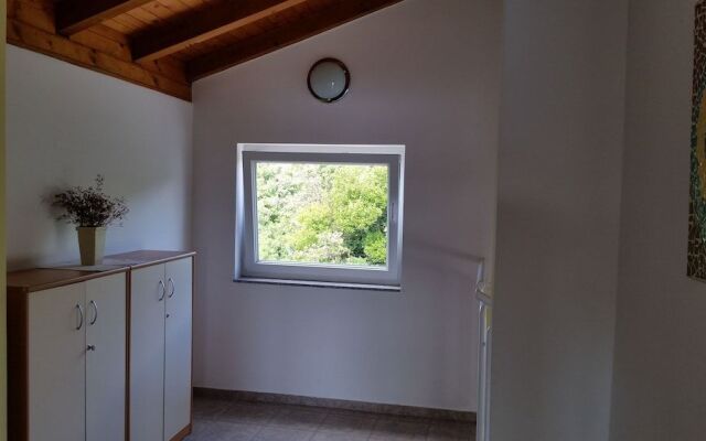 Apartments Dijana & Ivan