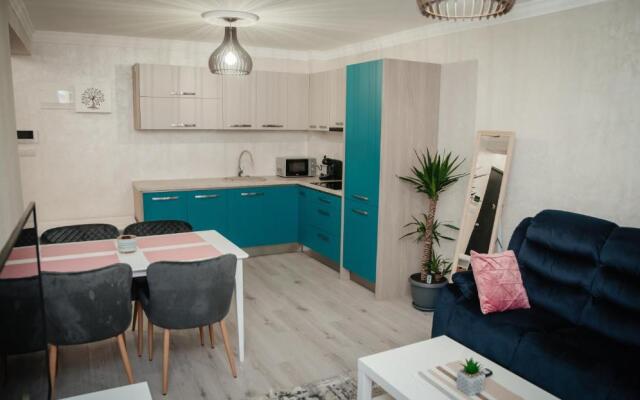 Divine Apartments Oradea Ap 10