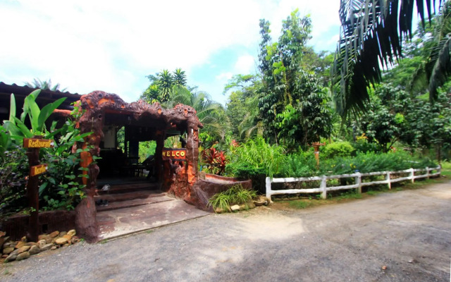 Khaosok Palmview