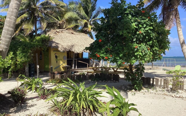 Playa Del Sol