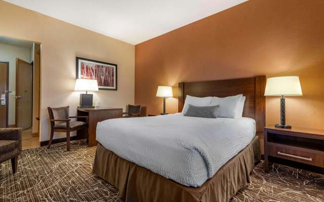 Best Western Plus Chelsea Hotel