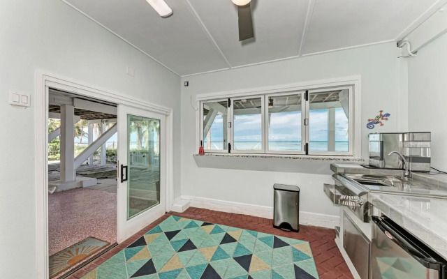 Dolphin Tales - 836 S Bay