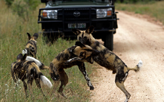 Jock Safari Lodge